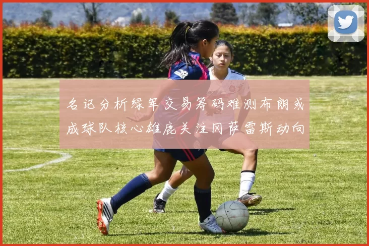 名记分析绿军交易筹码难测布朗或成球队核心雄鹿关注冈萨雷斯动向