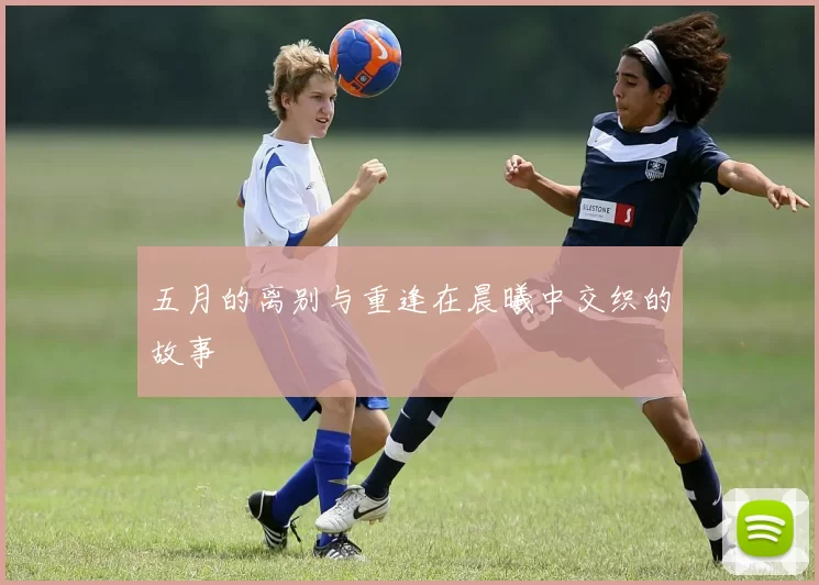 五月的离别与重逢在晨曦中交织的故事